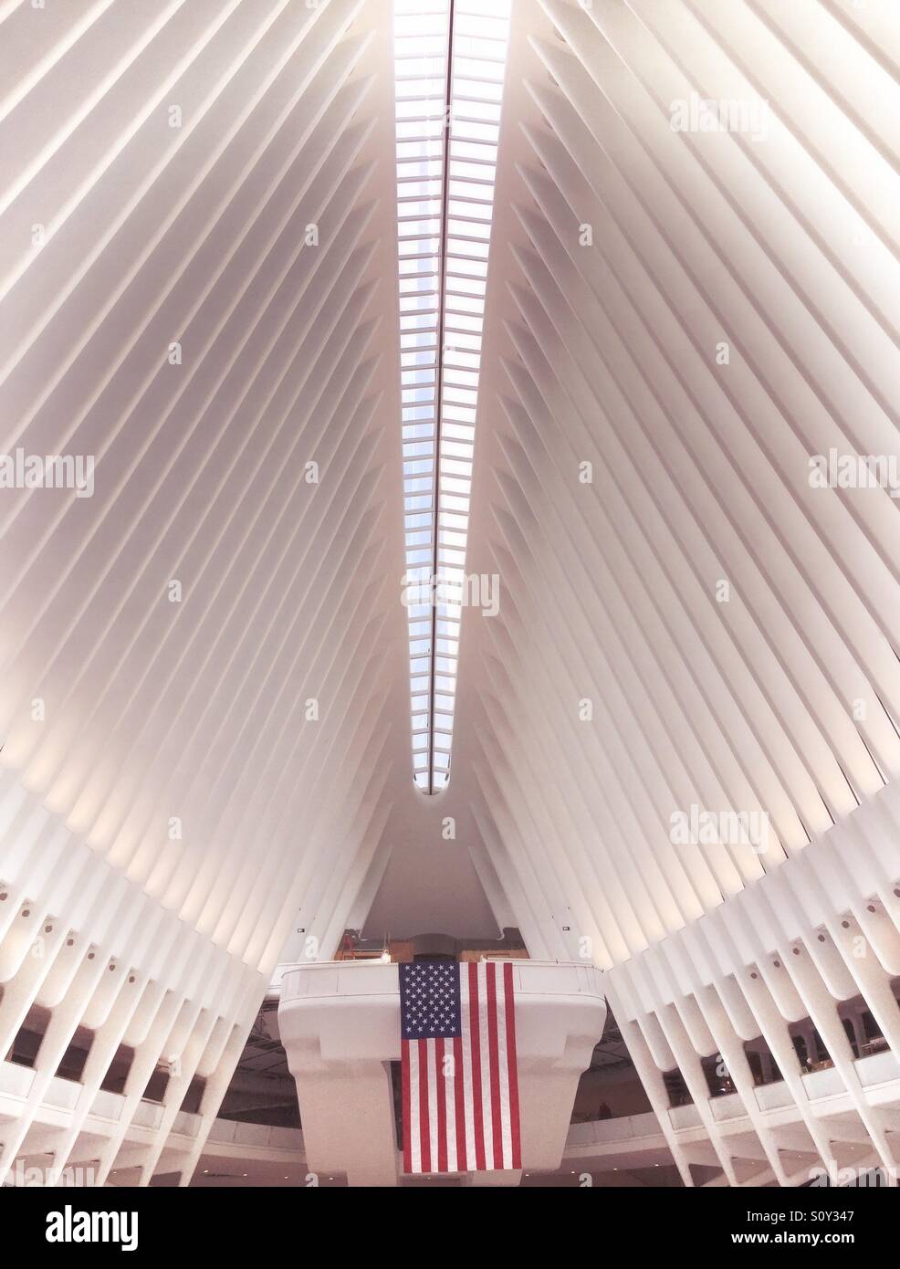 The oculus at the World Trade Center transportation hub is comprised of white steel ribs, New York City, USA - Smartphone Captured Stock Image