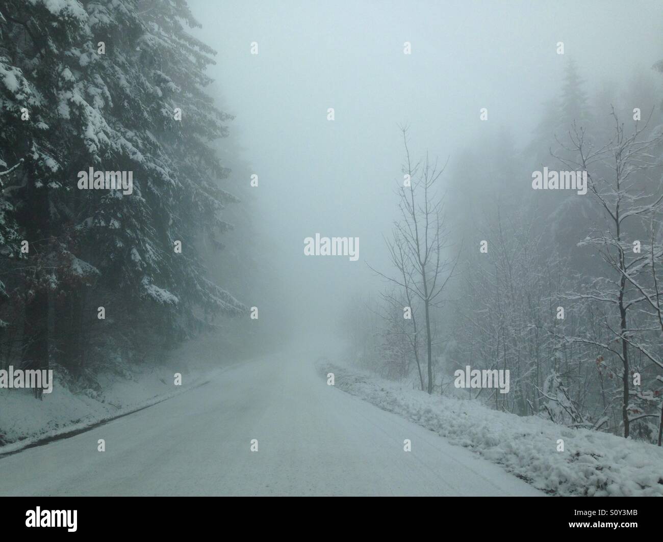 fog snowy road Stock Photo