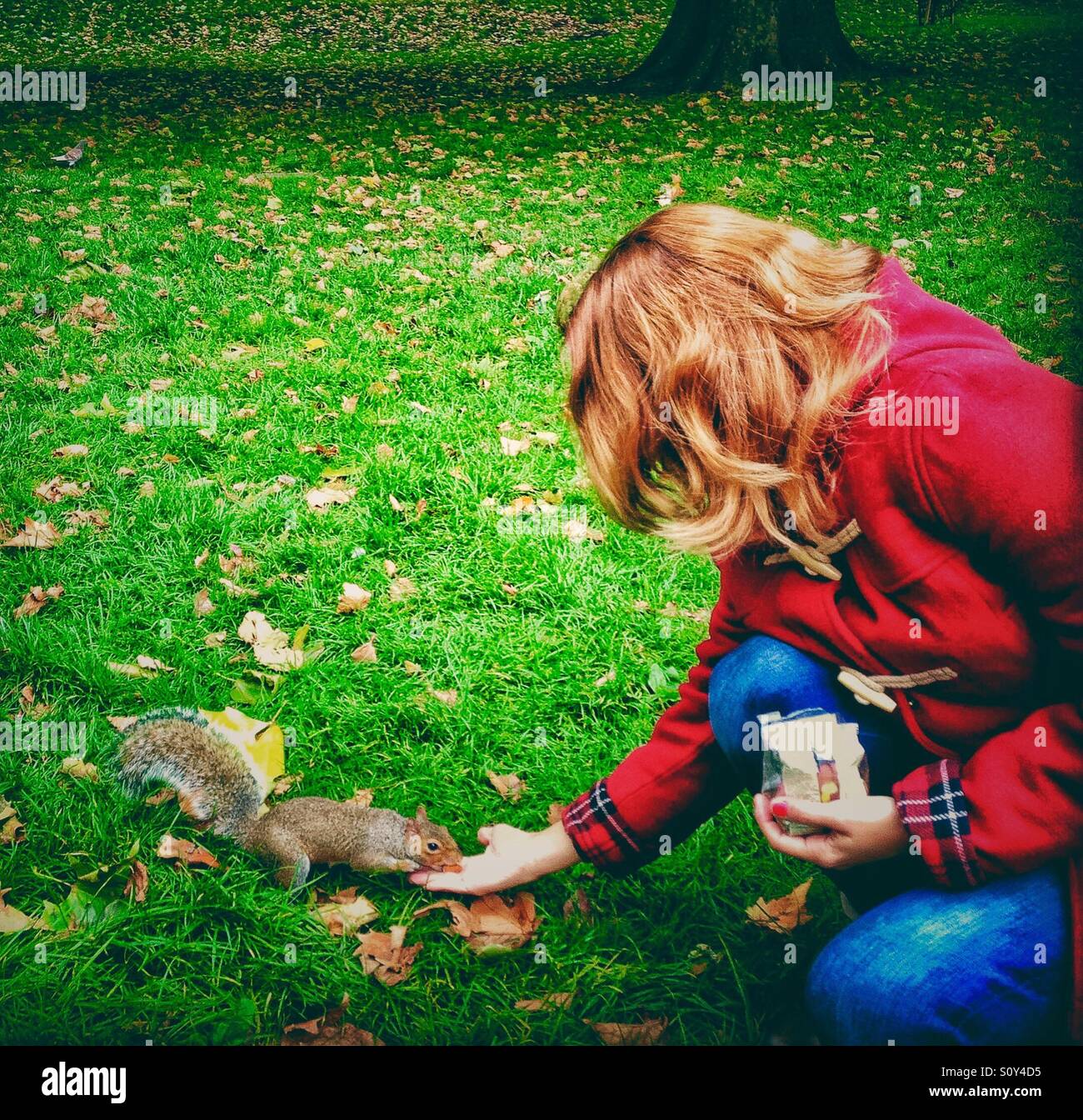 Feeding the squirrel in Hyde Park, London Stock Photo