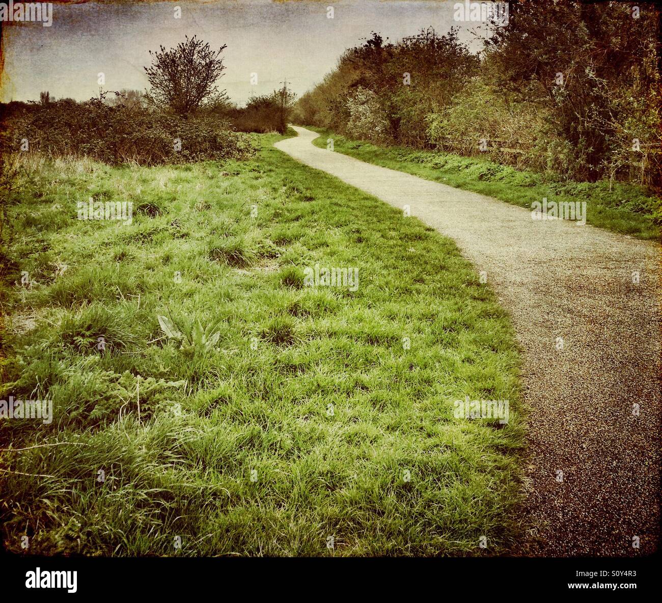 Scrubland bushes hires stock photography and images Alamy