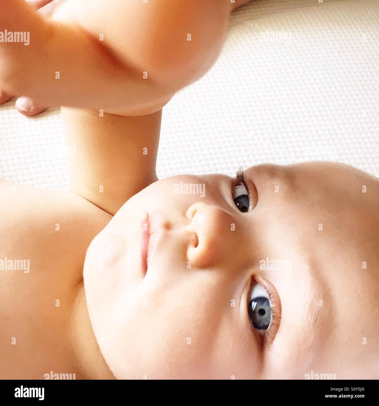 Cute little baby looking at camera Stock Photo