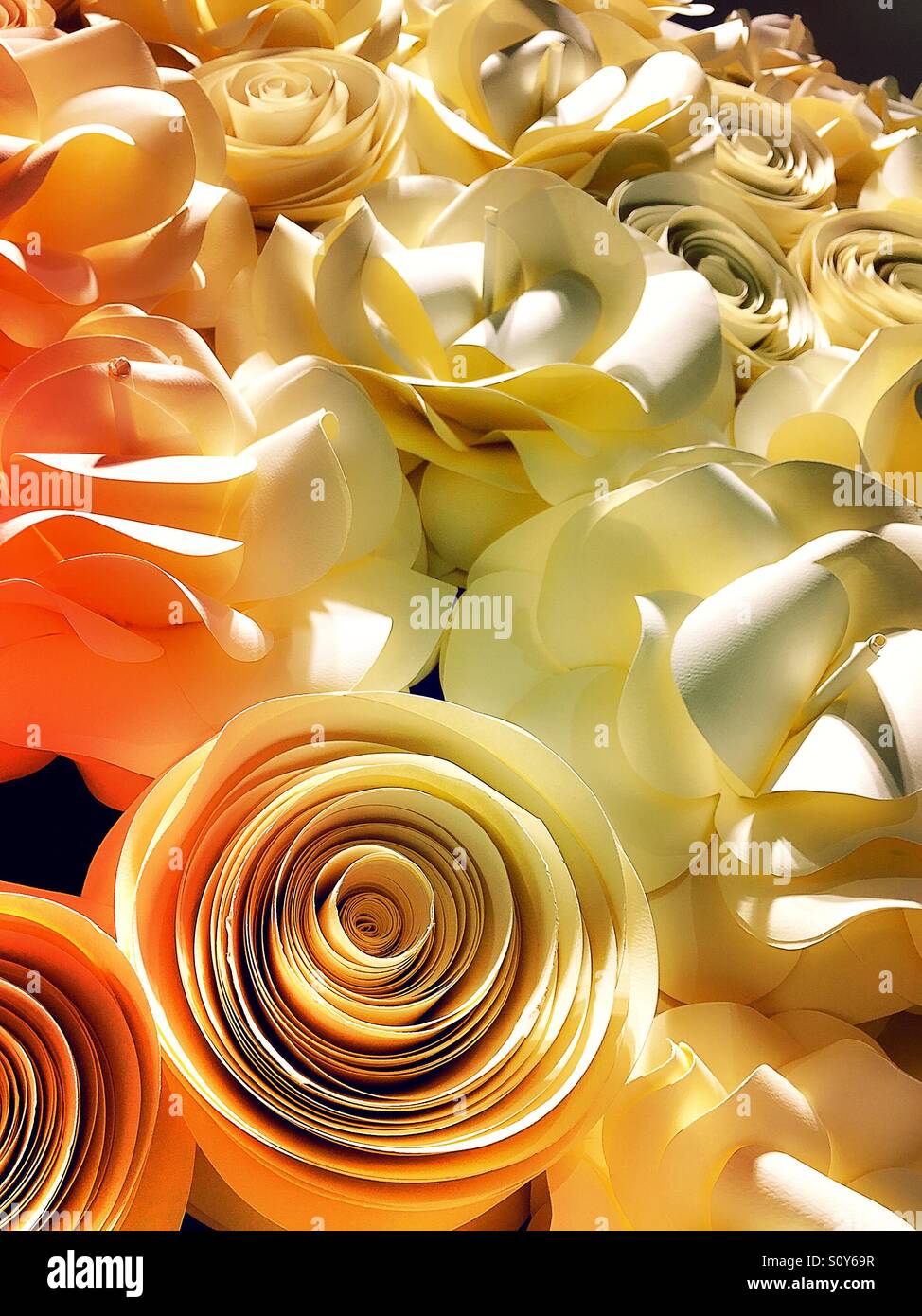 Paper flowers diy hi-res stock photography and images - Alamy
