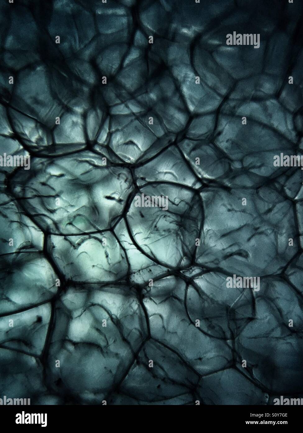 a light sheet of drywall texture for background macro Stock Photo - Alamy