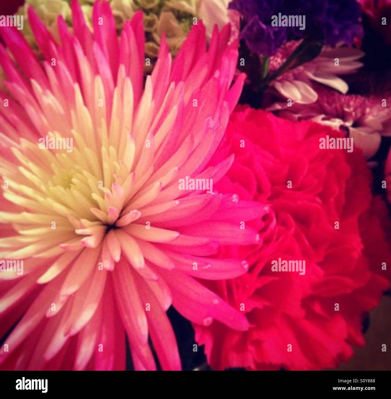 Flowers at work Stock Photo Alamy