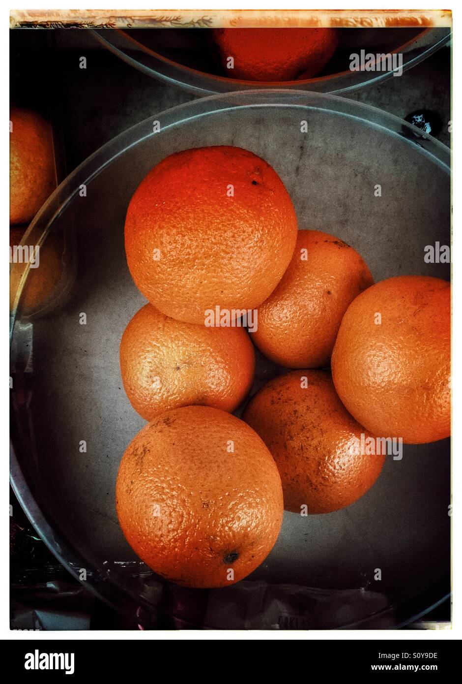 Blood oranges - Smartphone Captured Stock Image