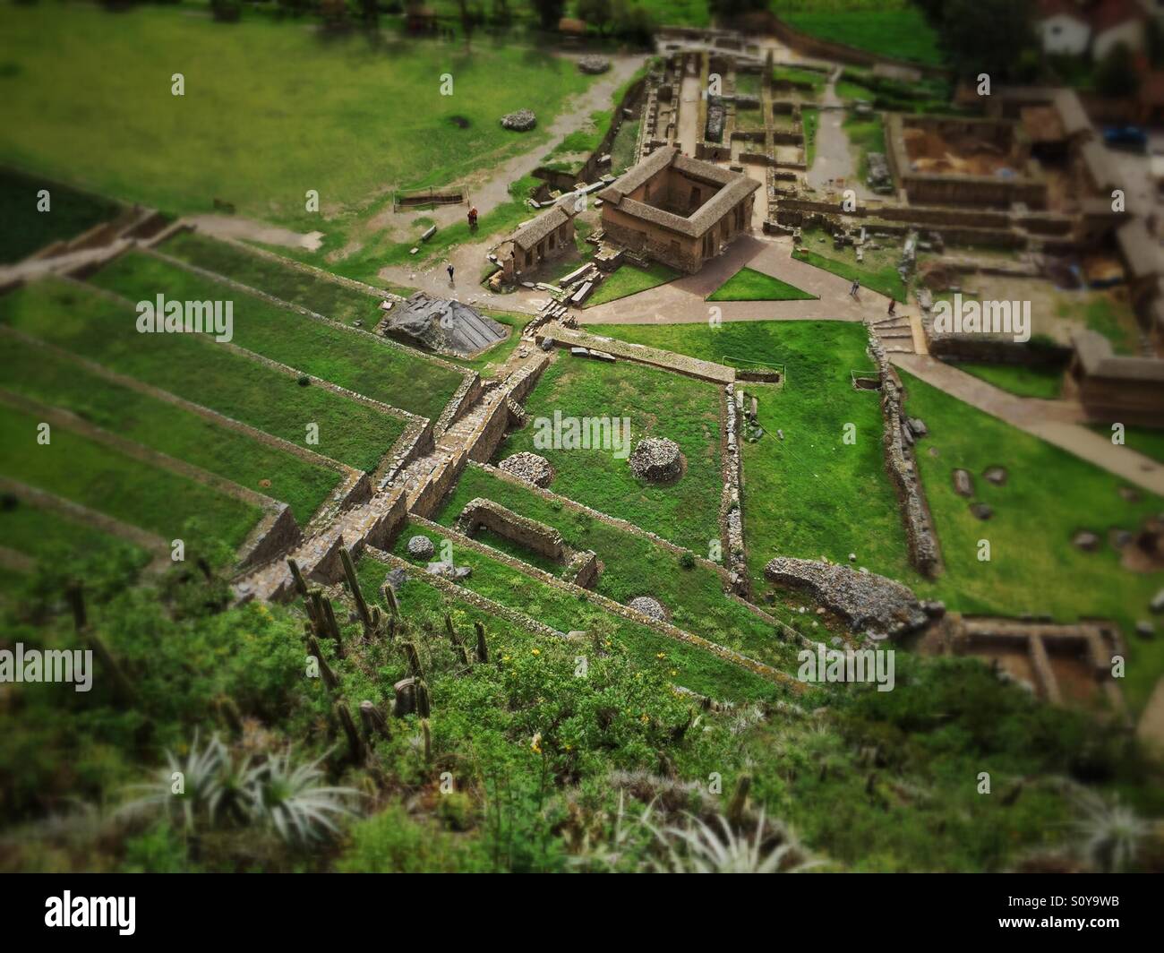 Planting terraces build by incas in Ollantaytambo, Peru Stock Photo - Alamy