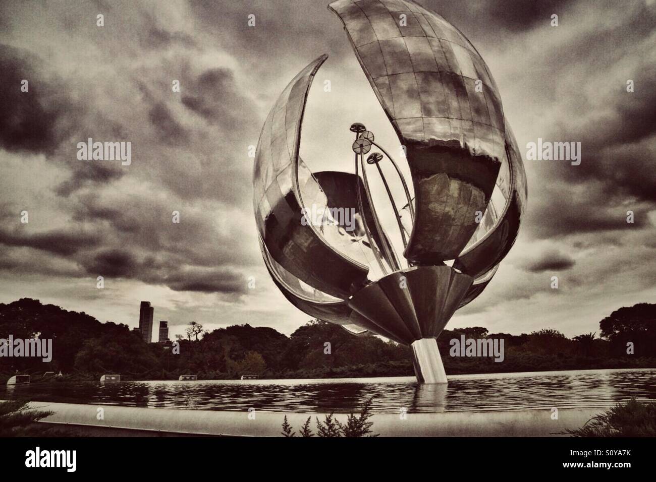 Floralis Generica - Smartphone Captured Stock Image