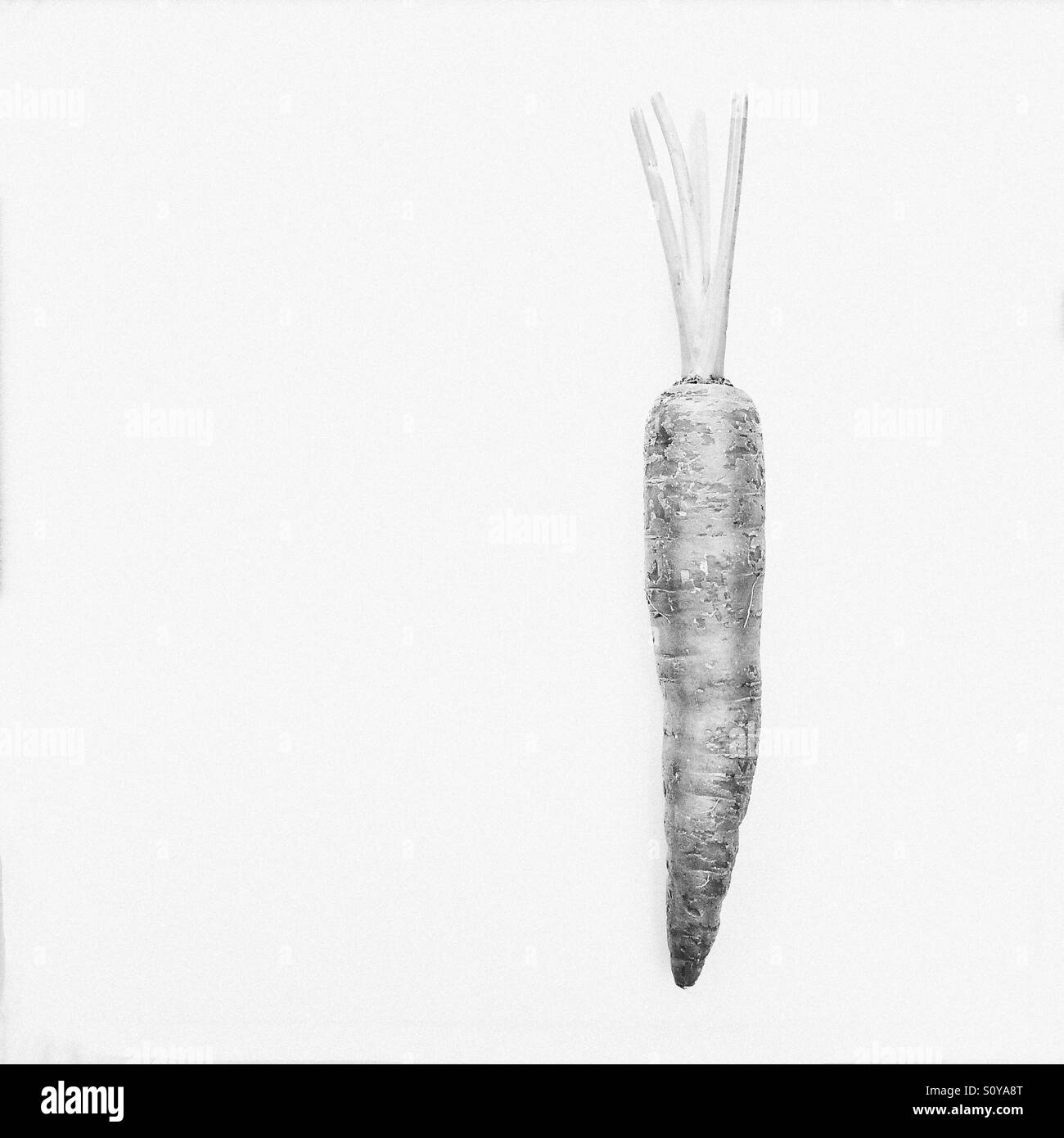 Carrot Black and White Stock Photos & Images - Alamy