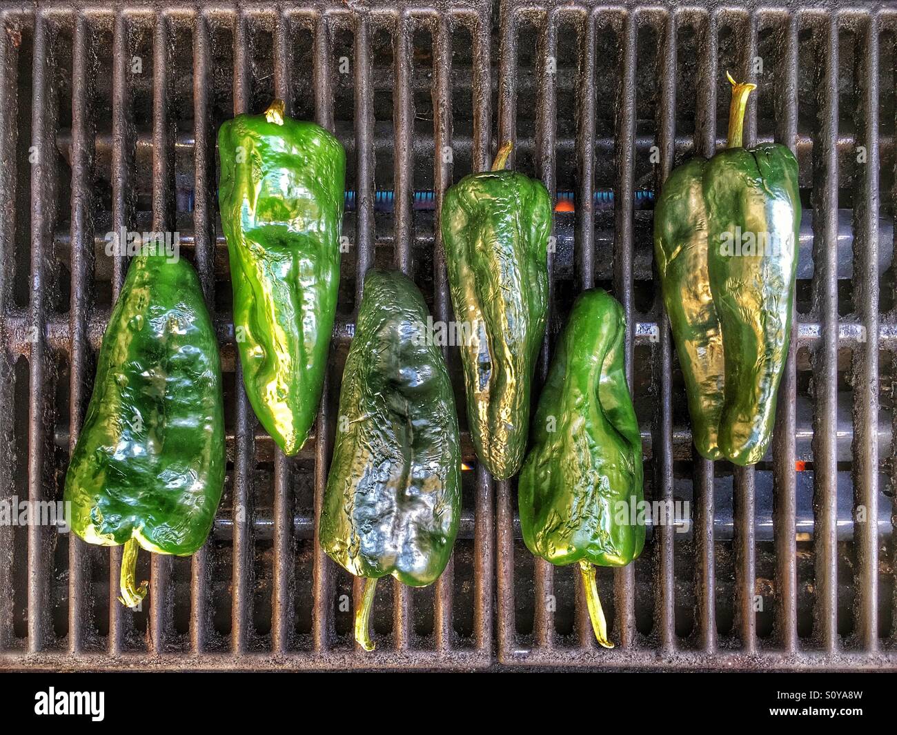 Poblano peppers roasting in preparation for Mexican meal Stock Photo
