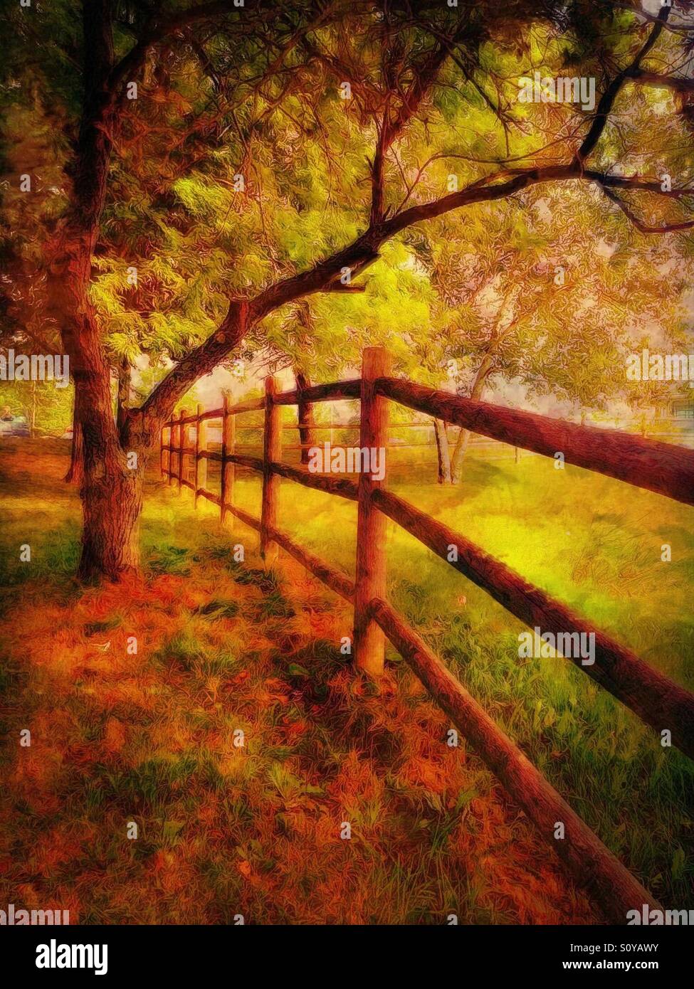 Along the Fence on an Autumn Day Stock Photo