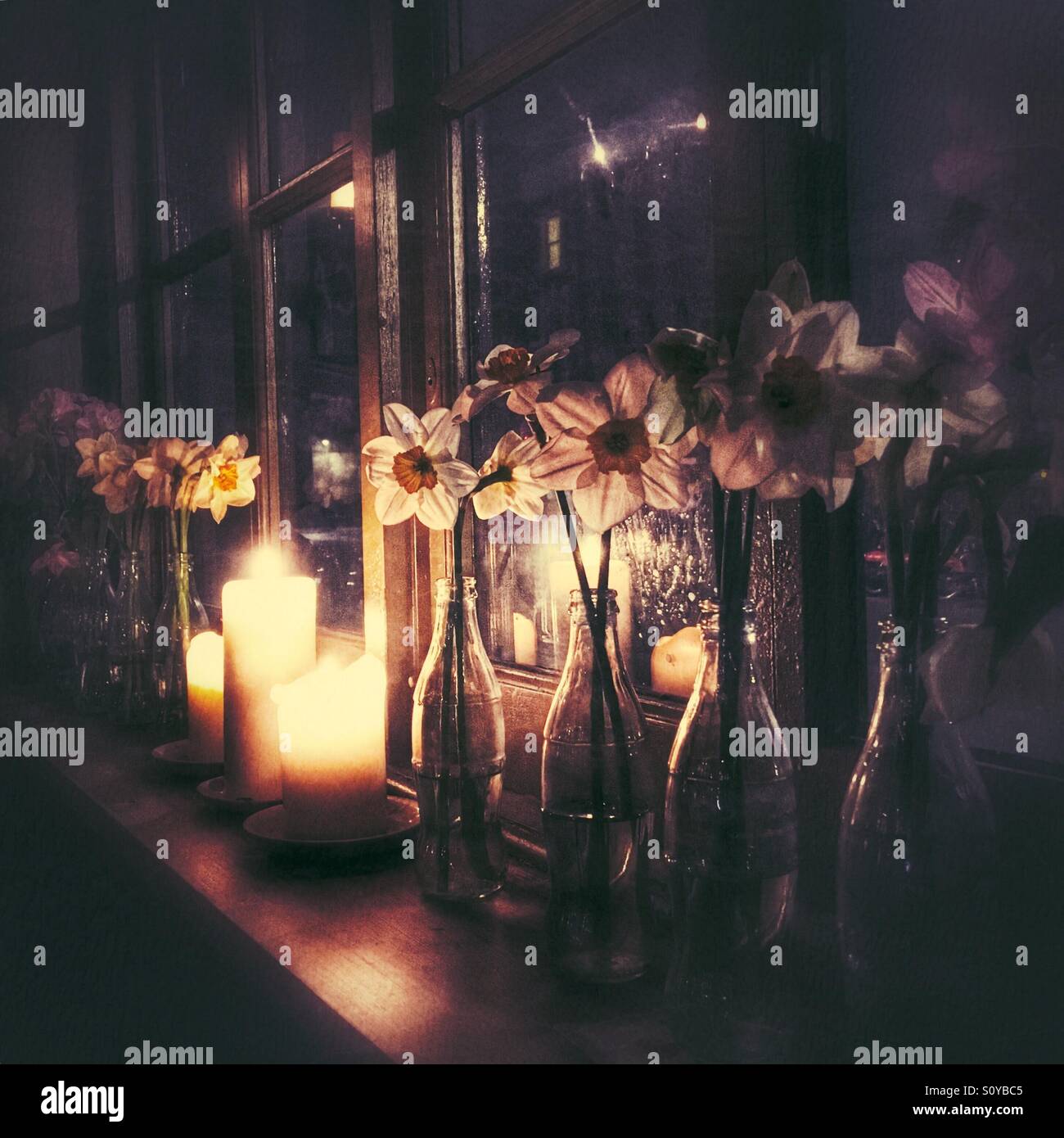 Daffodils displayed in glass bottles on a candlelit windowsill at night, creating a warm, atmospheric and intimate interior still life scene. - Smartphone Captured Stock Image