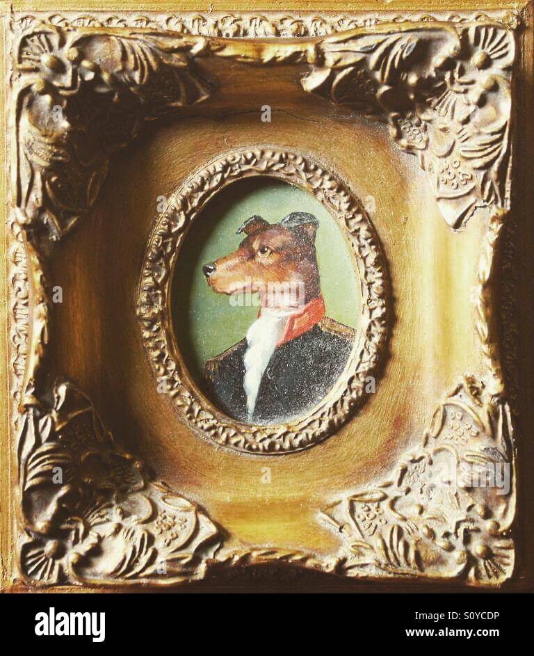 Dog portrait in ornate antique frame Stock Photo