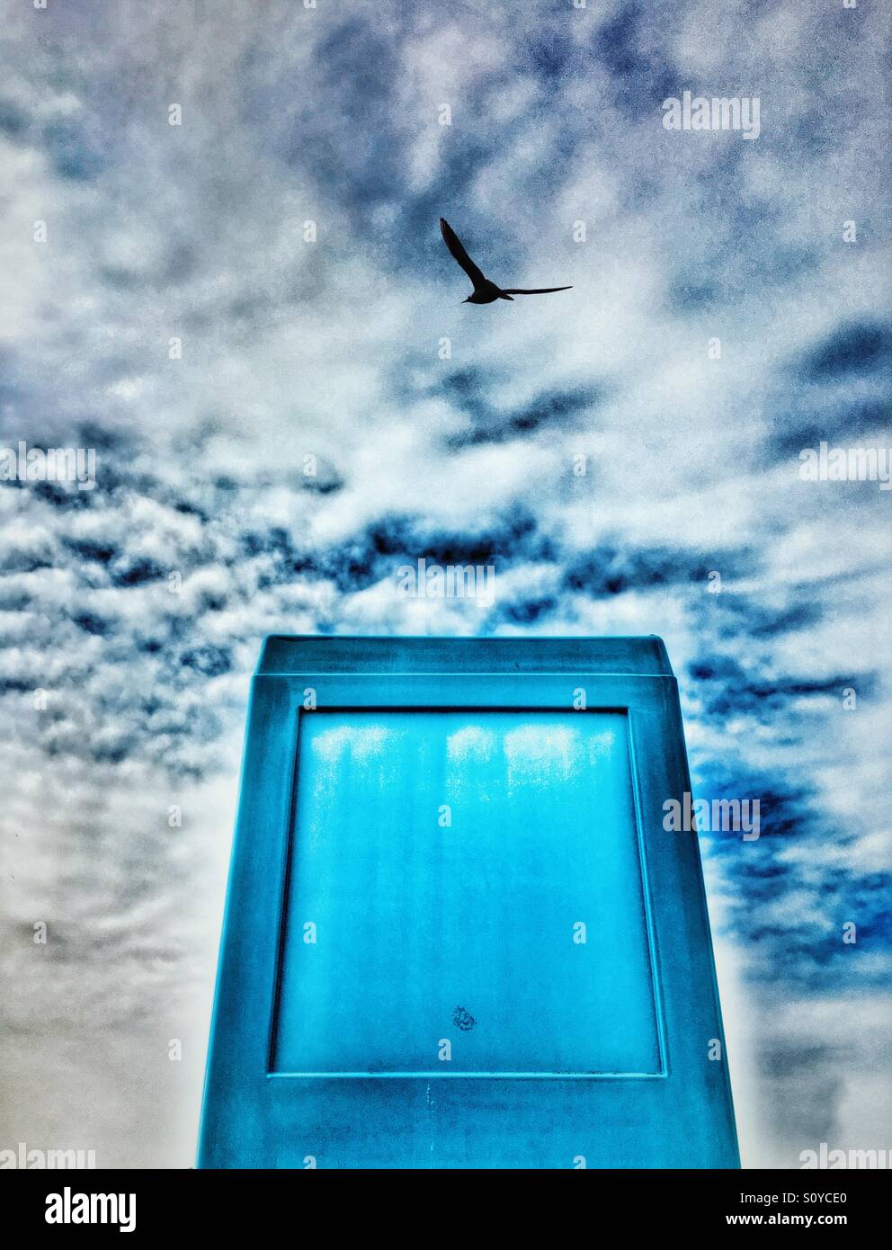 Blue kiosk and bird - Smartphone Captured Stock Image