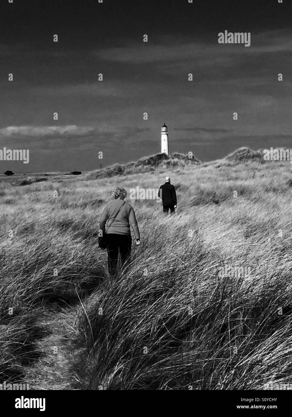 The path to the lighthouse. Barns Ness lighthouse is on the edge of the River Forth estuary near Dunbar, Scotland. Stock Photo
