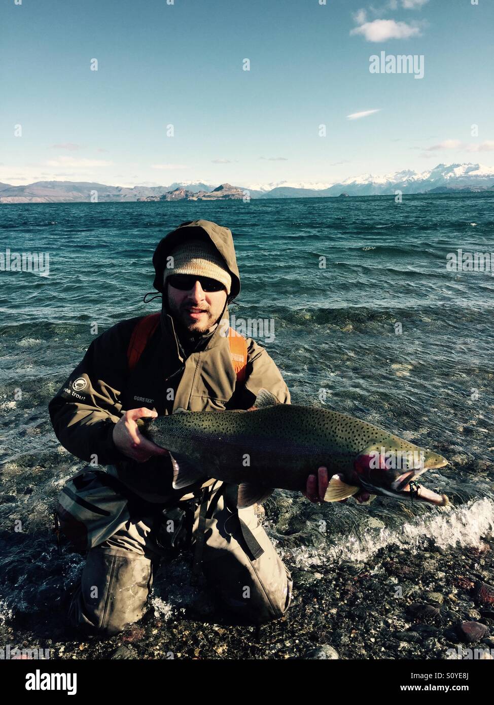 Rainbow trout, general carrera lake Patagonia chilena Stock Photo Alamy