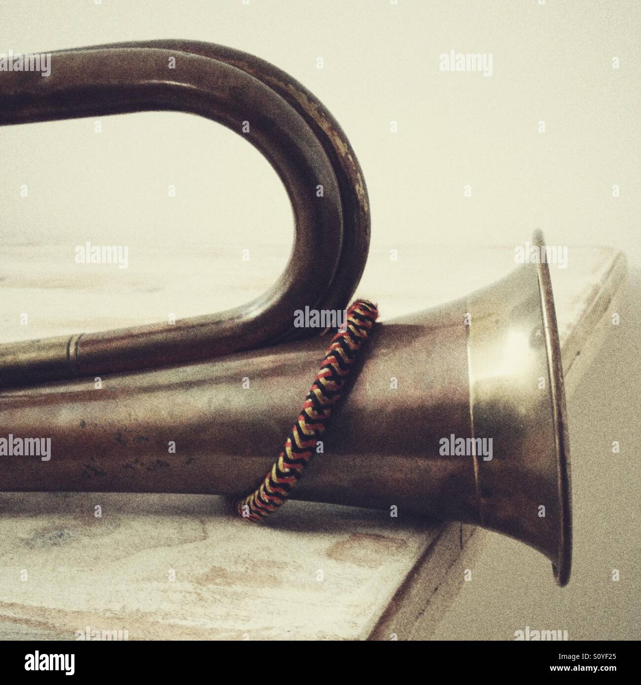 Close up bugle - Smartphone Captured Stock Image