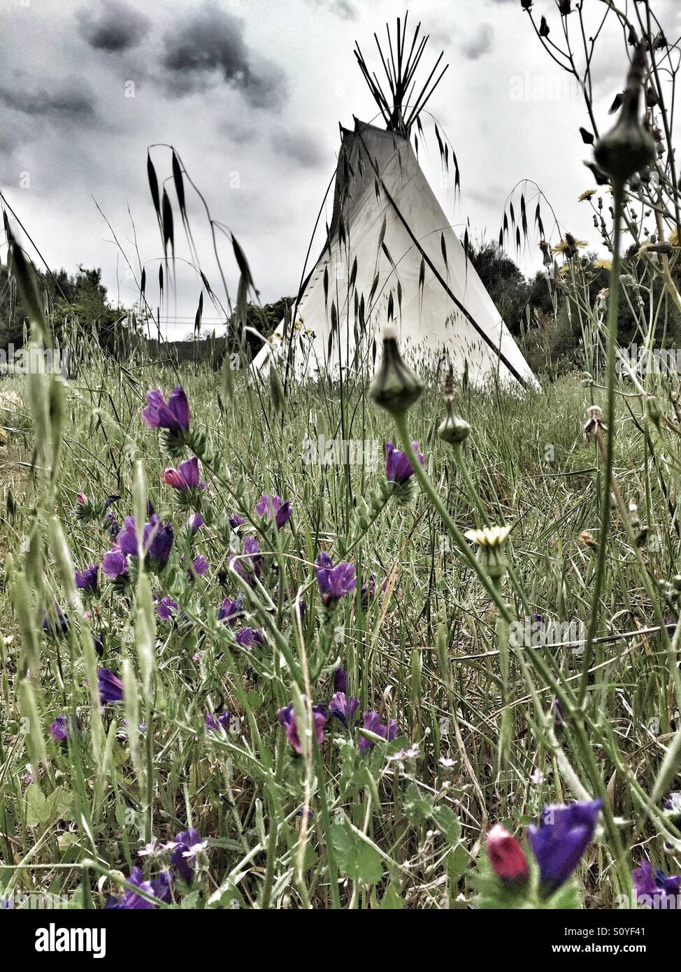 Teepee in a field Stock Photo