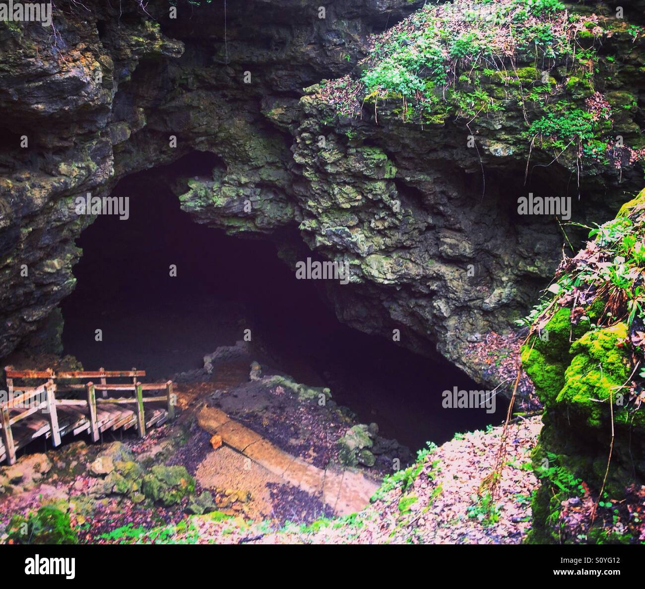 Maquoketa Caves, Iowa Stock Photo