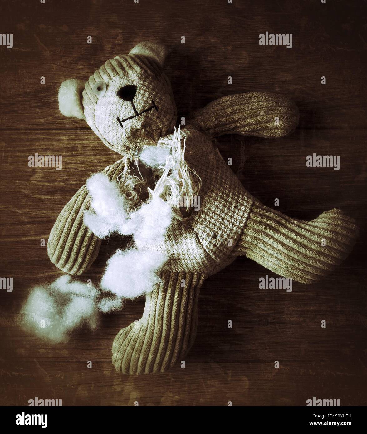 bear stuffing