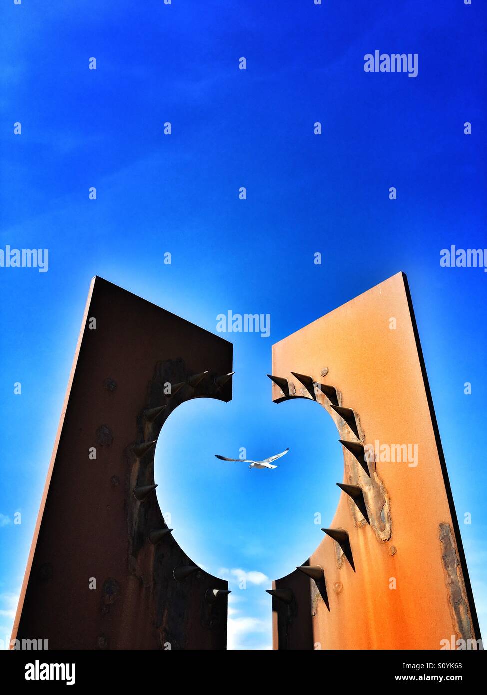 Seagull flying through modern rusty sculpture on Blackpool South promenade - Smartphone Captured Stock Image
