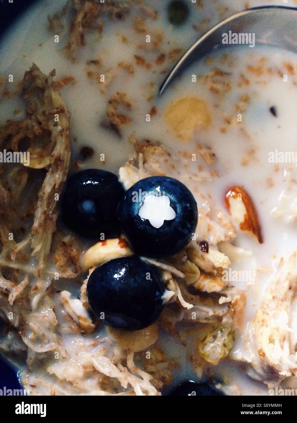 Blueberry - star of the breakfast bowl! - Smartphone Captured Stock Image