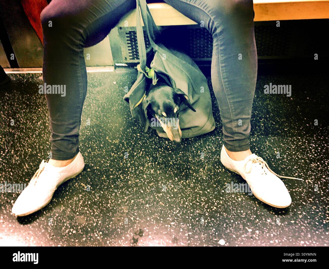 Woman with dog on the New York City subway - Smartphone Captured Stock Image
