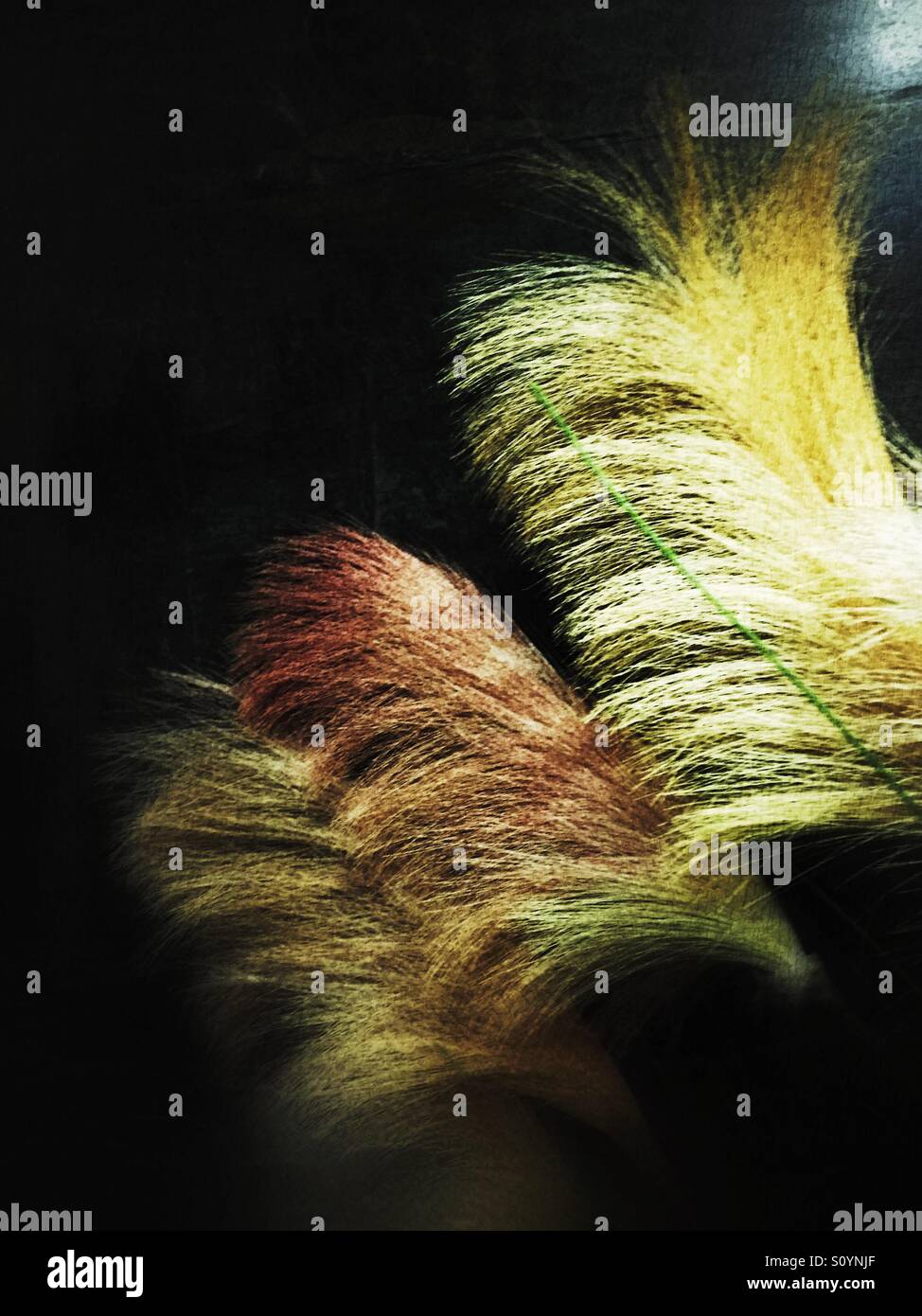 Feathers on a dark Marble wall - Smartphone Captured Stock Image