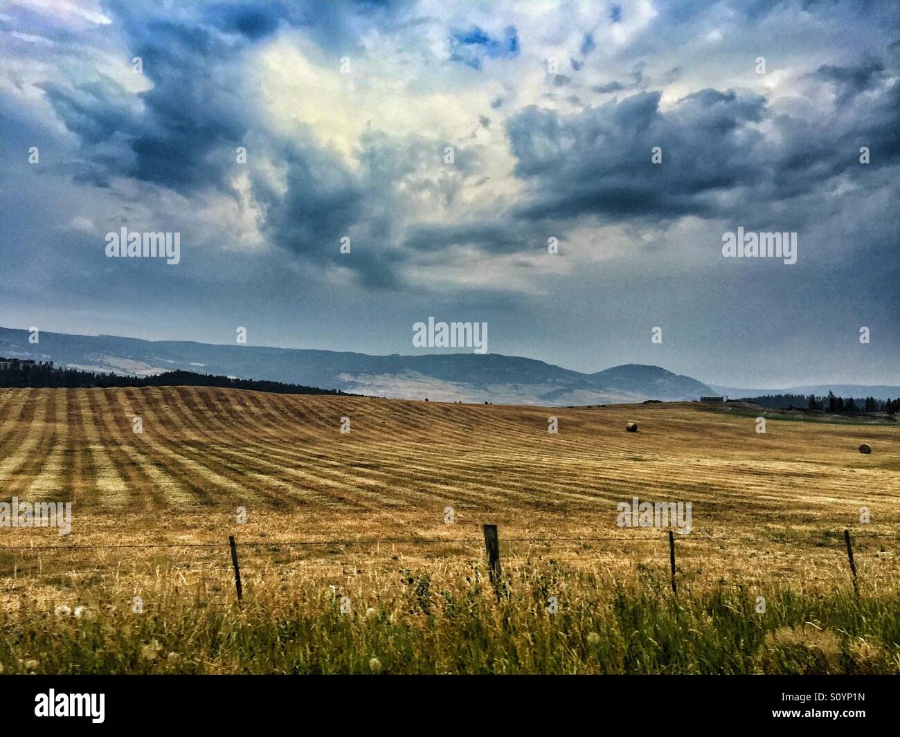 Dramatic skies over hay field being harvested Stock Photo - Alamy