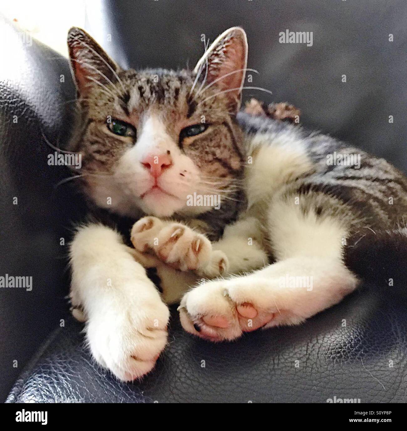 Hey where are you are you ready stock photo alamy