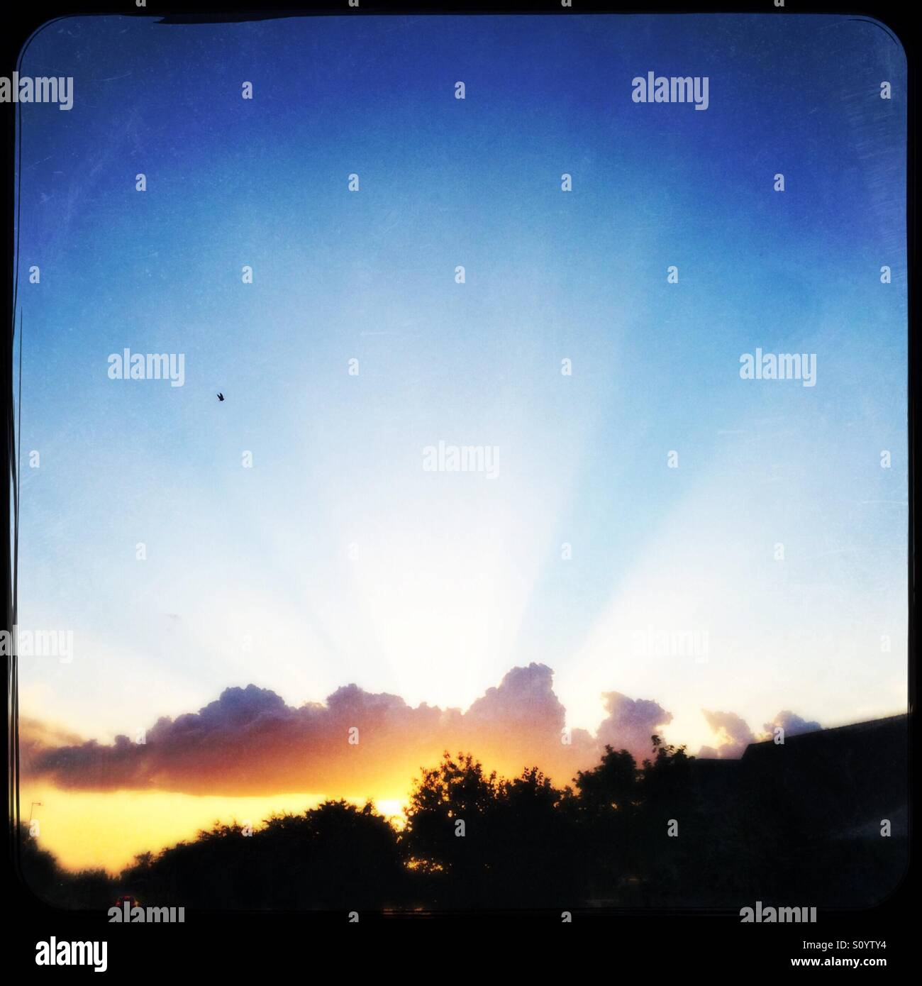 Brilliant sun rays at sunset. - Smartphone Captured Stock Image