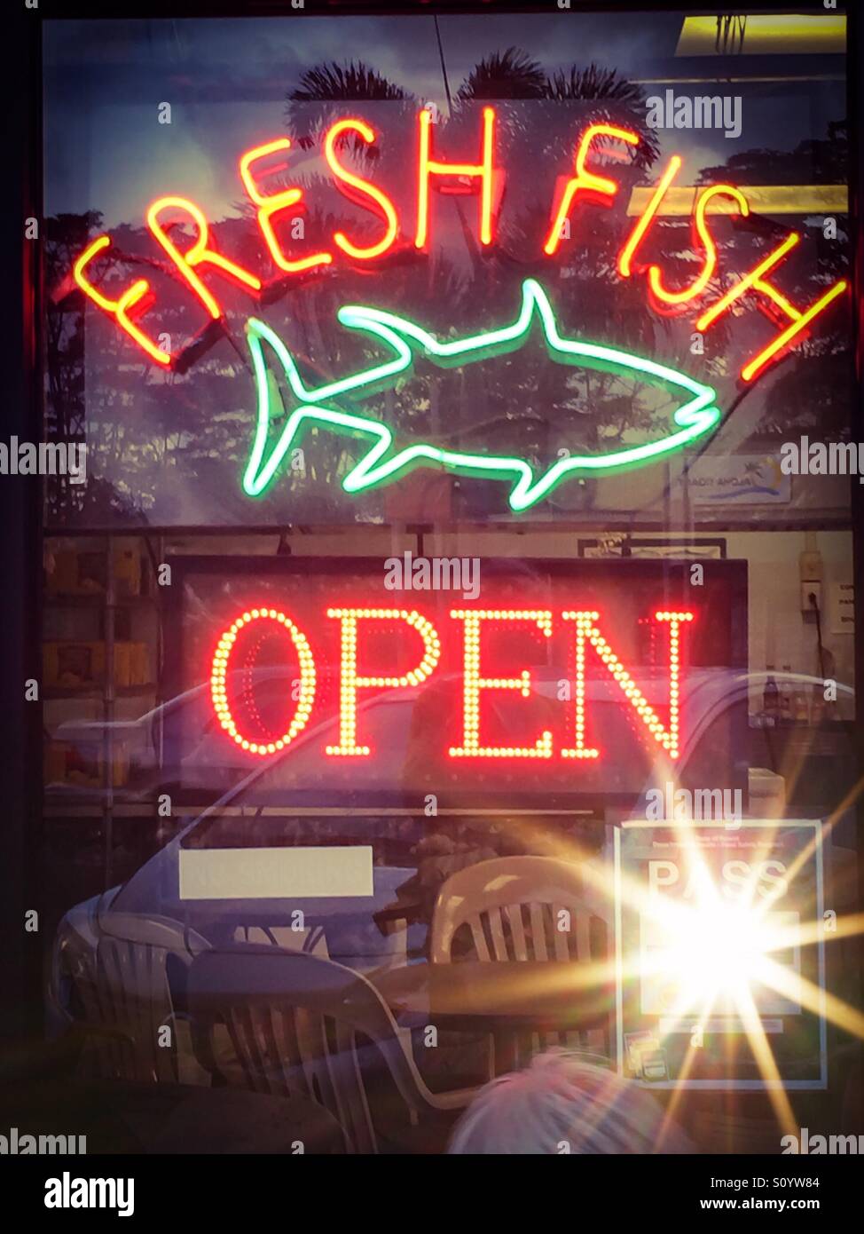 Fresh fish with a flare - Smartphone Captured Stock Image