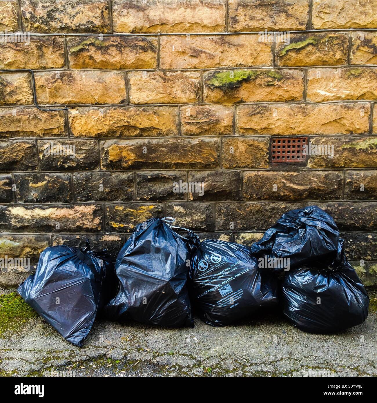 Discover more than 72 garbage bag in spanish latest - in.cdgdbentre