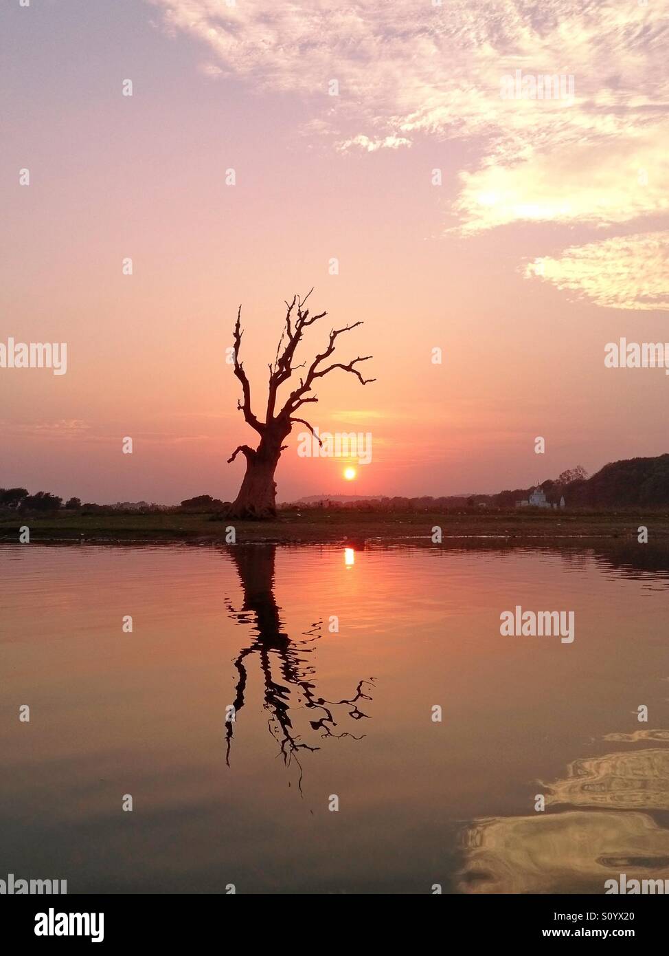 Sunset silhouette of tree hi-res stock photography and images - Alamy