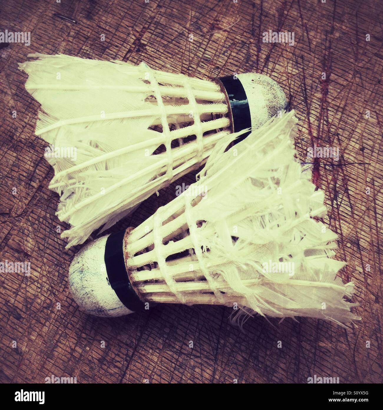 Old feather badminton shuttlecocks Stock Photo
