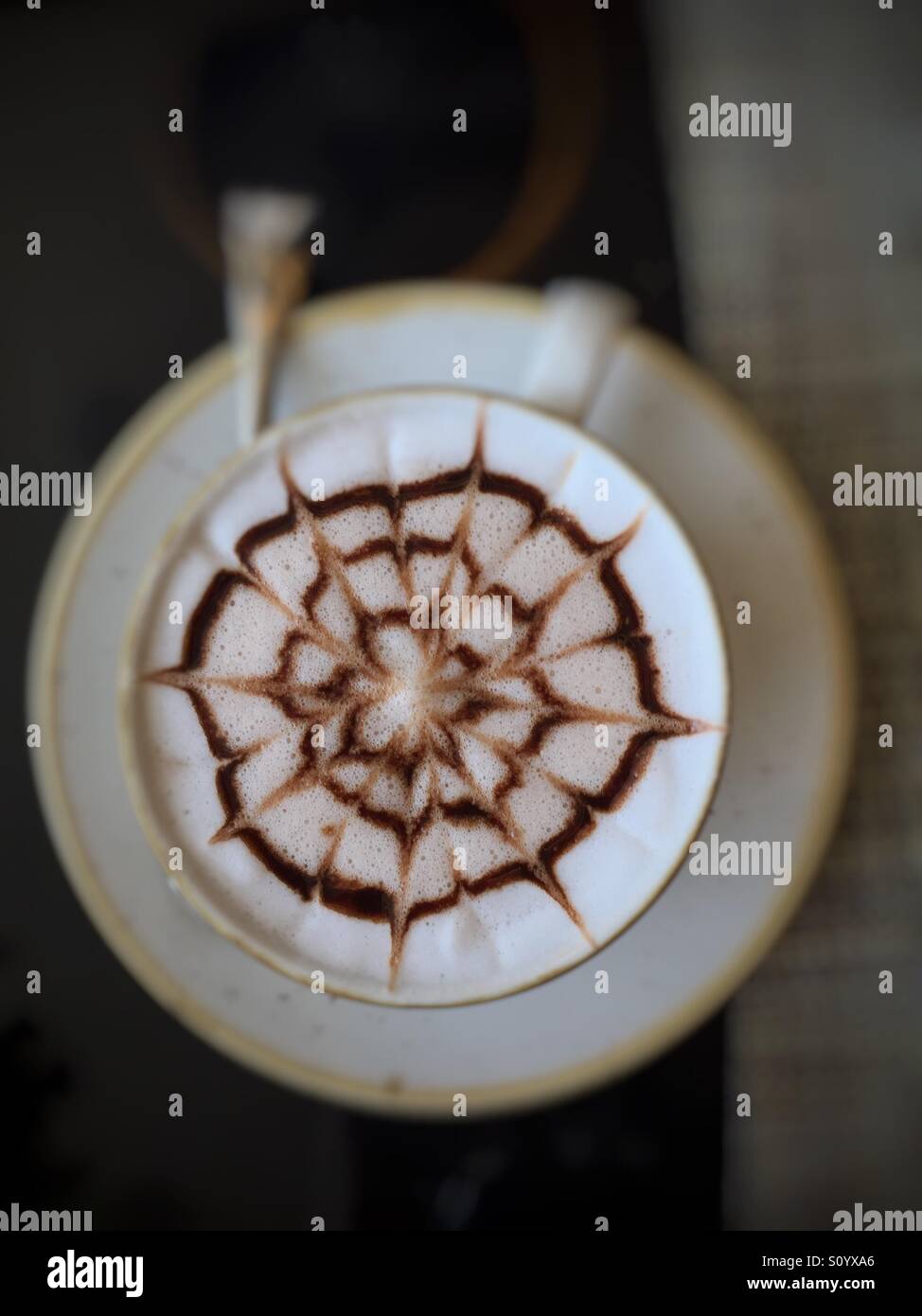 Spider on top - Smartphone Captured Stock Image