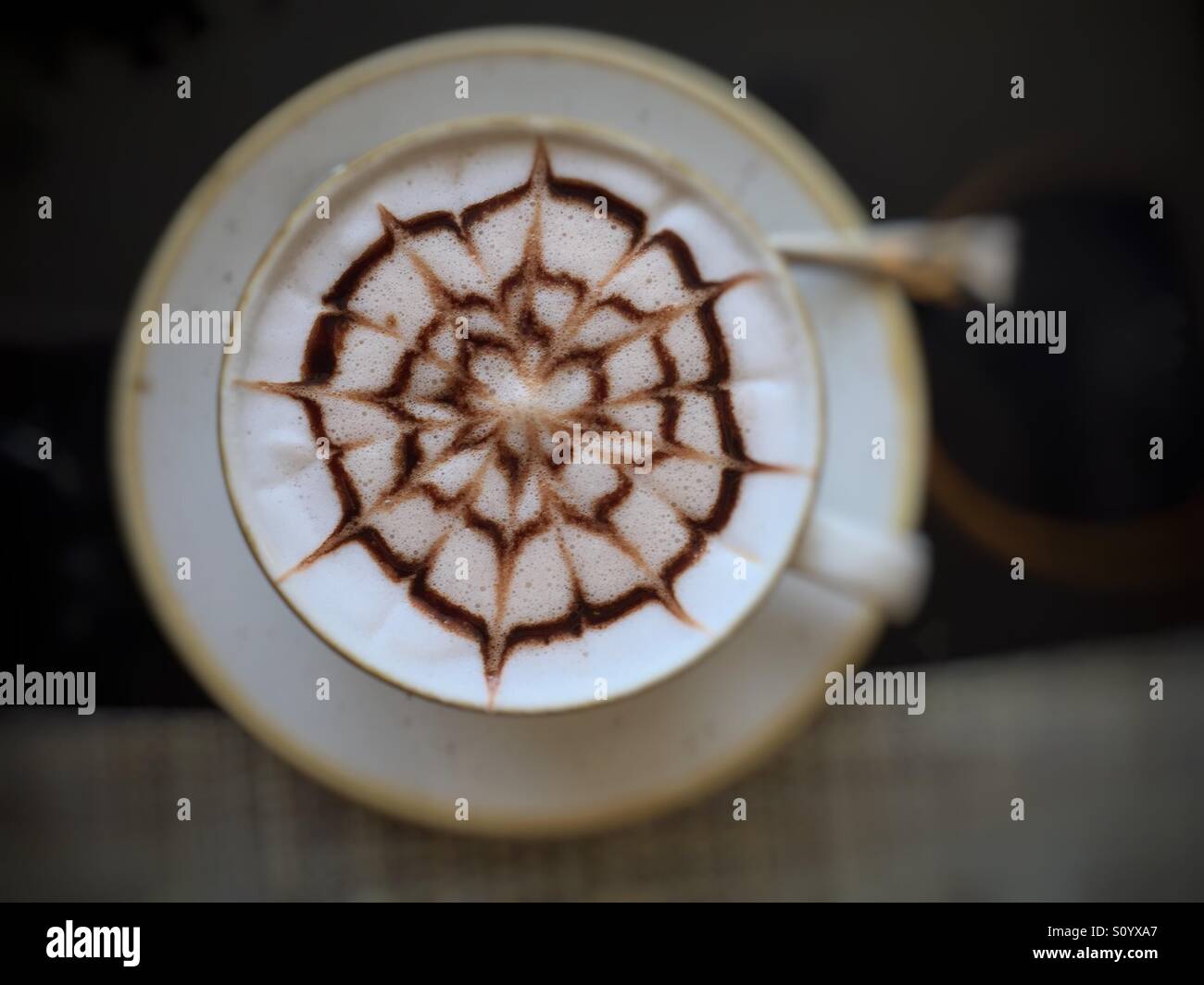 Spider top on hot chocolate - Smartphone Captured Stock Image