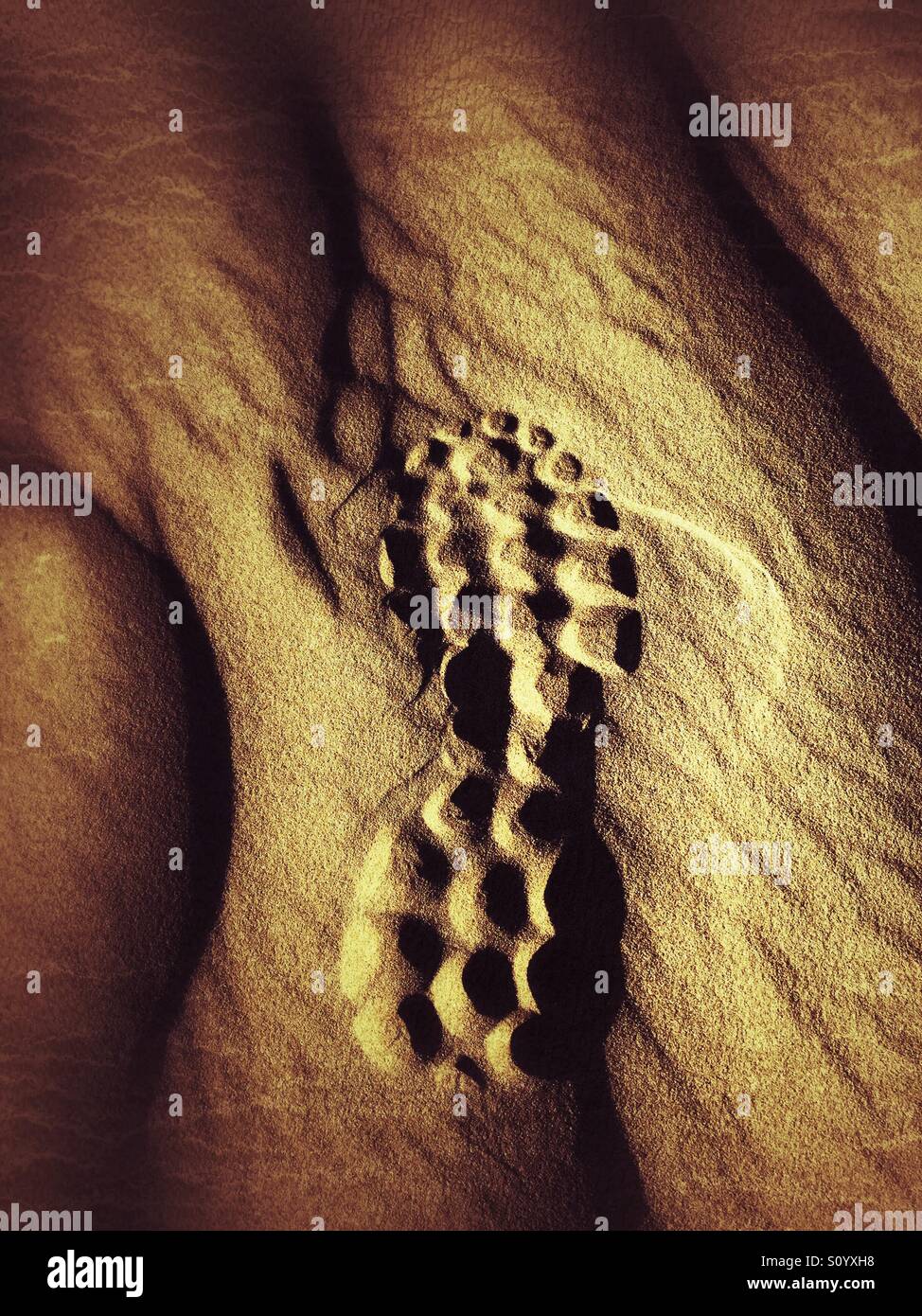 Footstep on desert sand Stock Photo