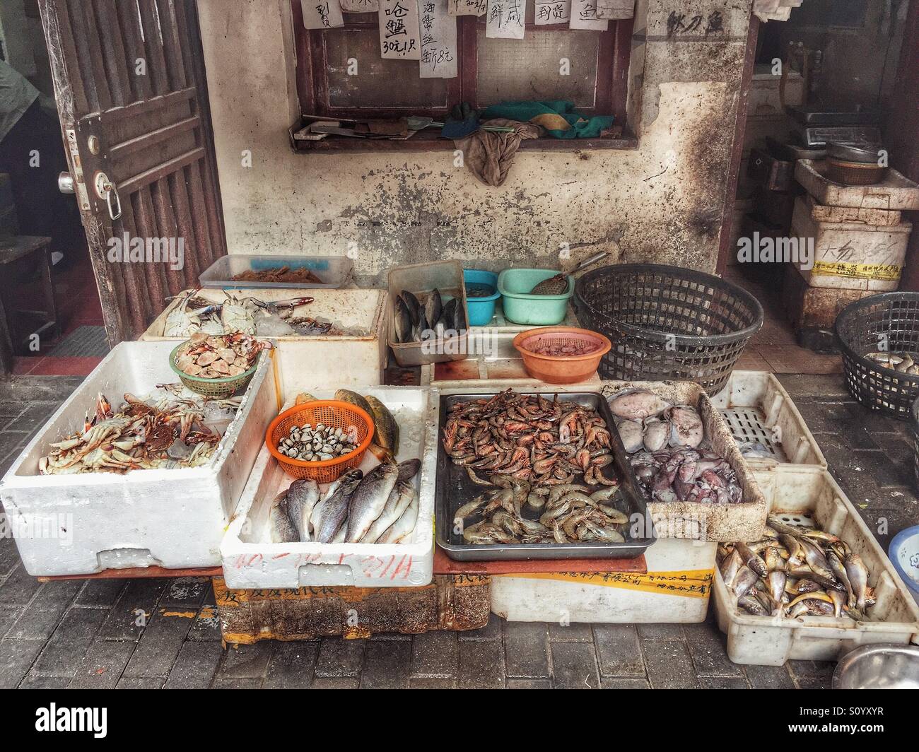 Chinese fish market near me