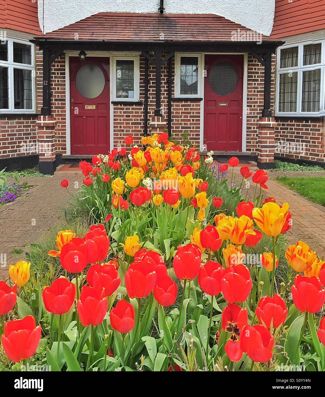 Brick red flowers hires stock photography and images Alamy