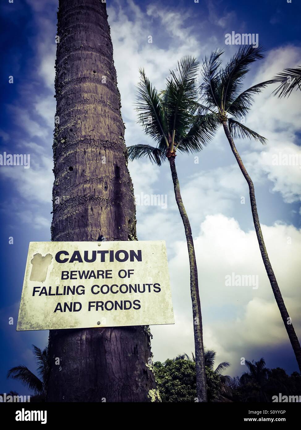 Caution - Smartphone Captured Stock Image Caution - Smartphone Captured Stock Image