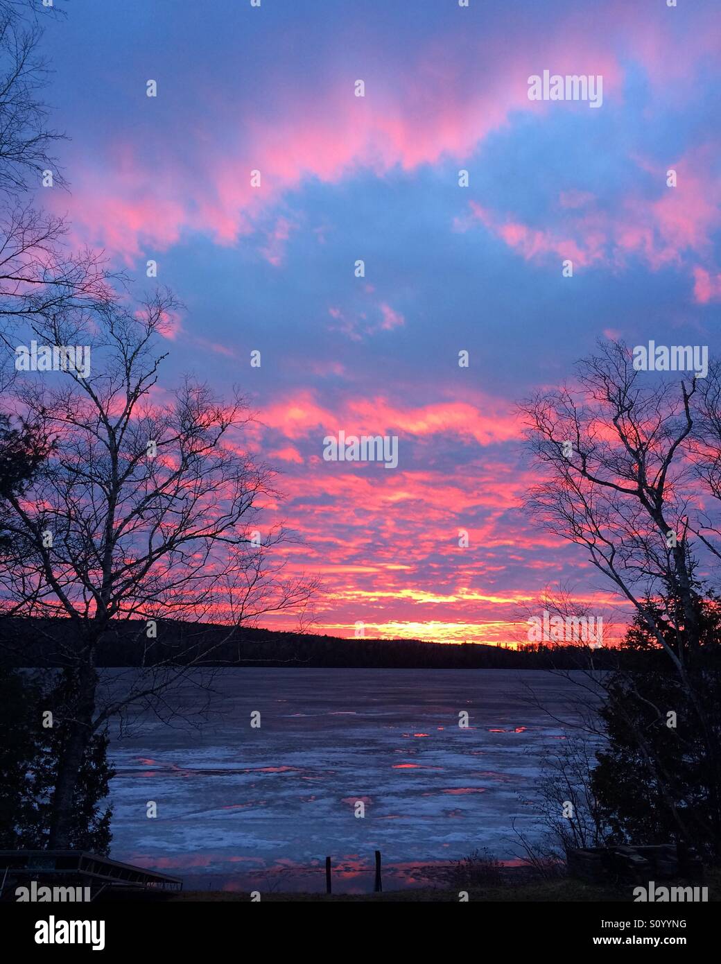 Pink sky at night, sailors' delight. Pink clouds reflecting on the pools of water on top of the ice on a northern Maine lake in May. Stock Photo