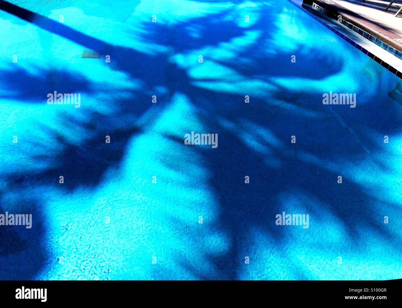 Palm tree shadow in turquoise blue pool - Smartphone Captured Stock Image