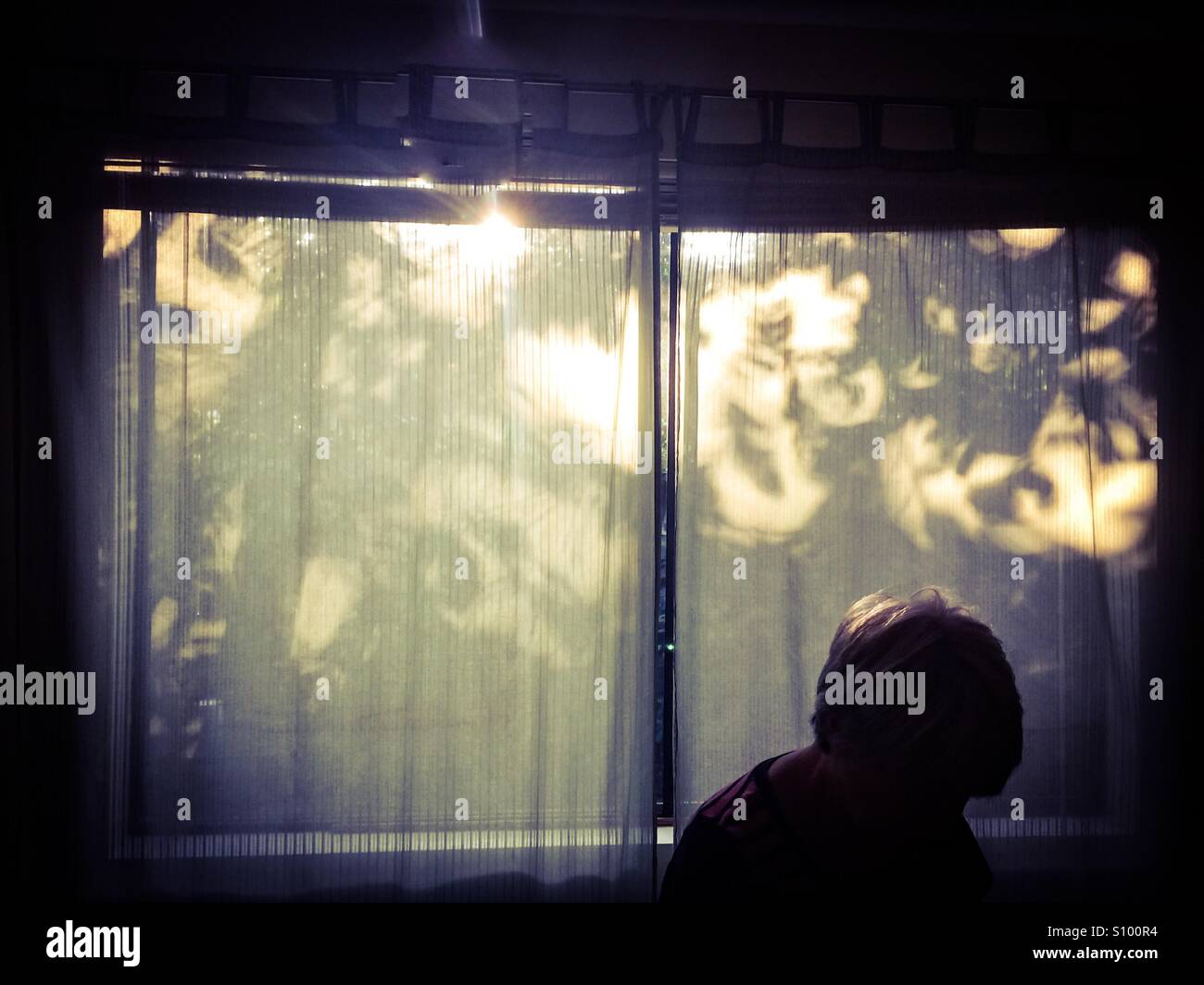 Phantom. A shadowy figure silhouetted against the sheer curtains along a large window, trees and vines outside. - Smartphone Captured Stock Image