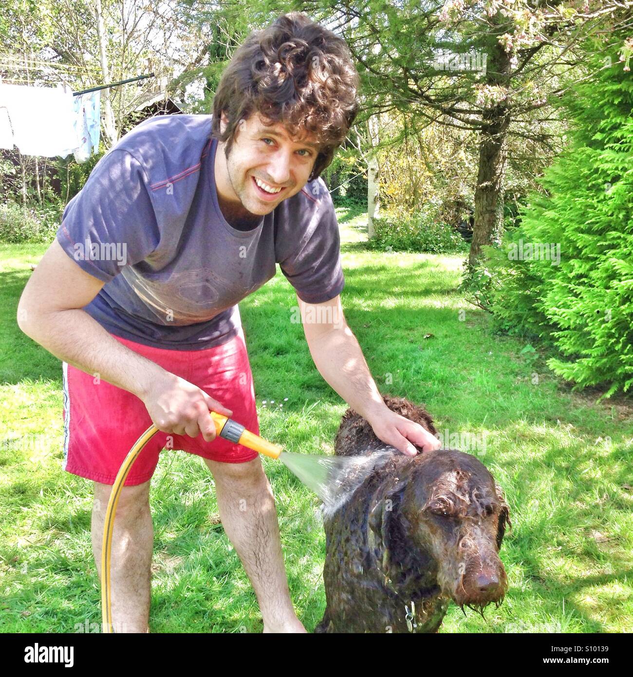 Man washing a labradoodle dog with a garden hose. - Smartphone Captured Stock Image