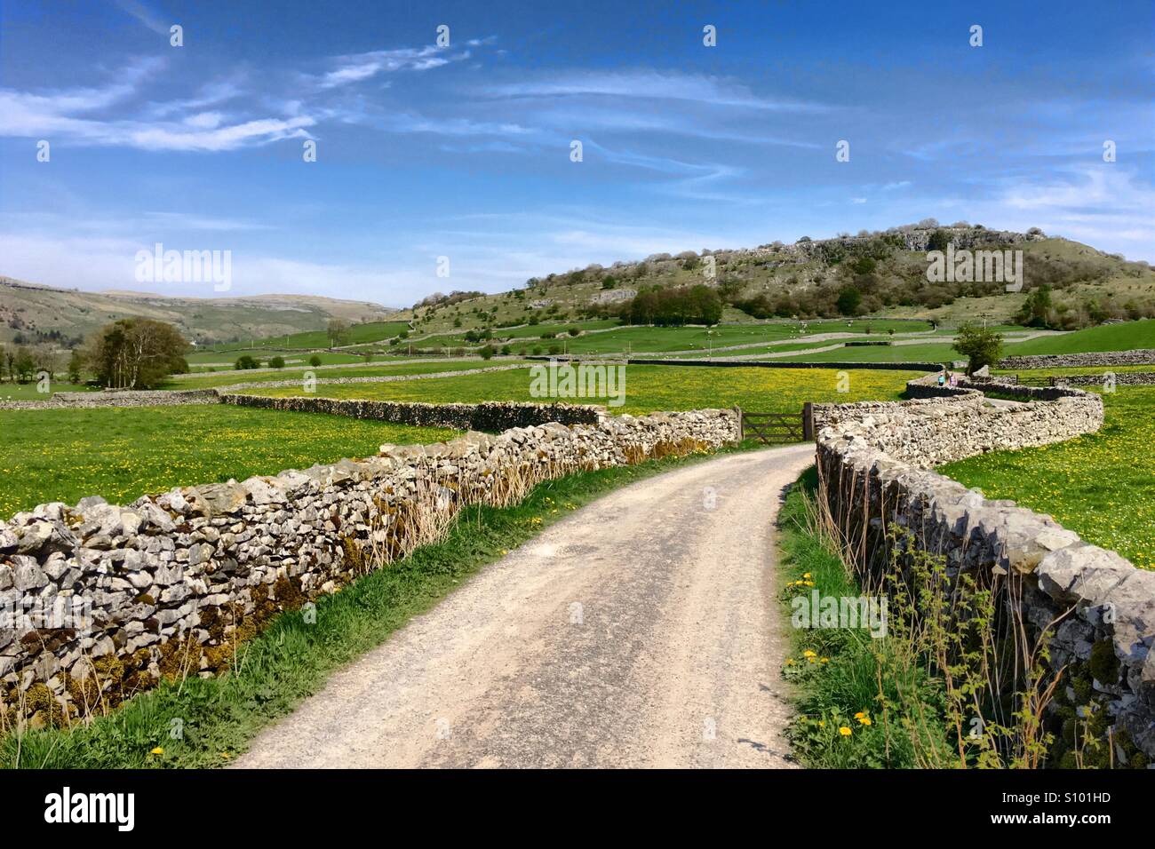 North Yorkshire In The Sun. A Winding Path A Green Meadow And A Dry Stone Wall. - Smartphone Captured Stock Image