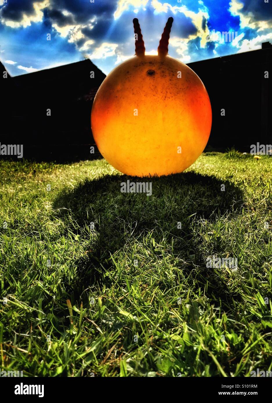 Space hopper casting shadow on grass in late evening light Stock Photo