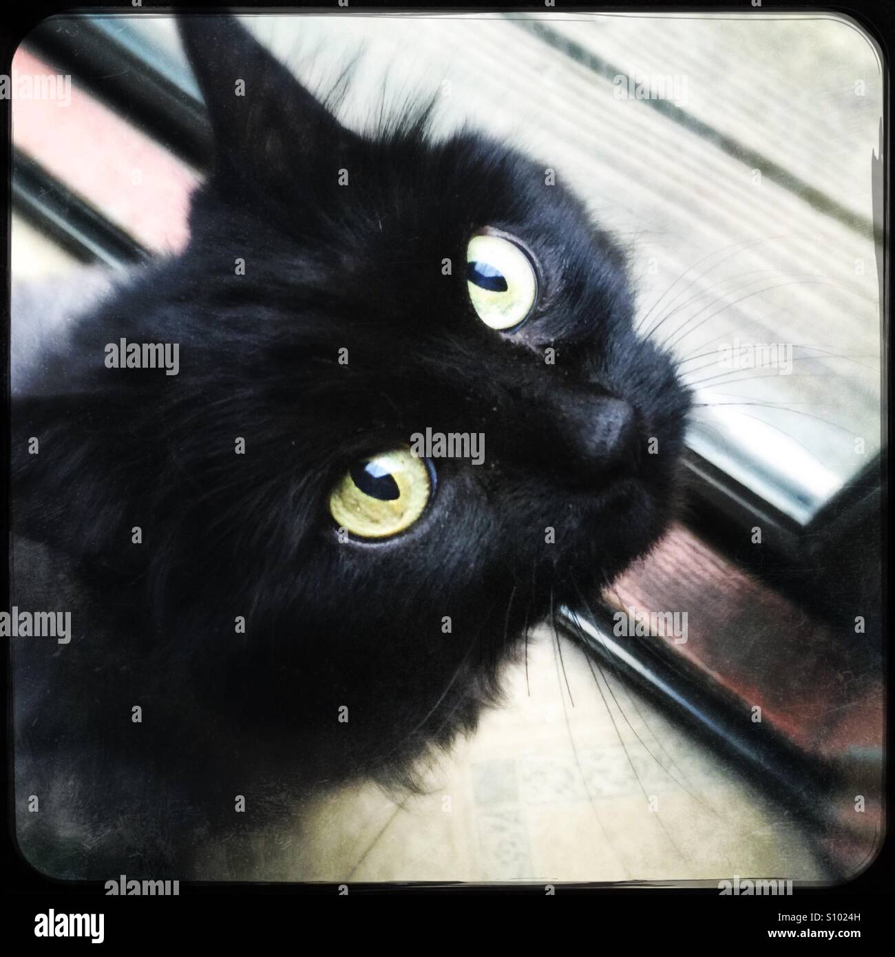 Let me out now! - Smartphone Captured Stock Image