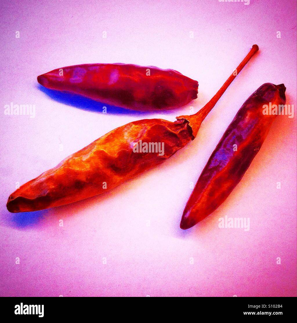 Red chili very chili Stock Photo Alamy