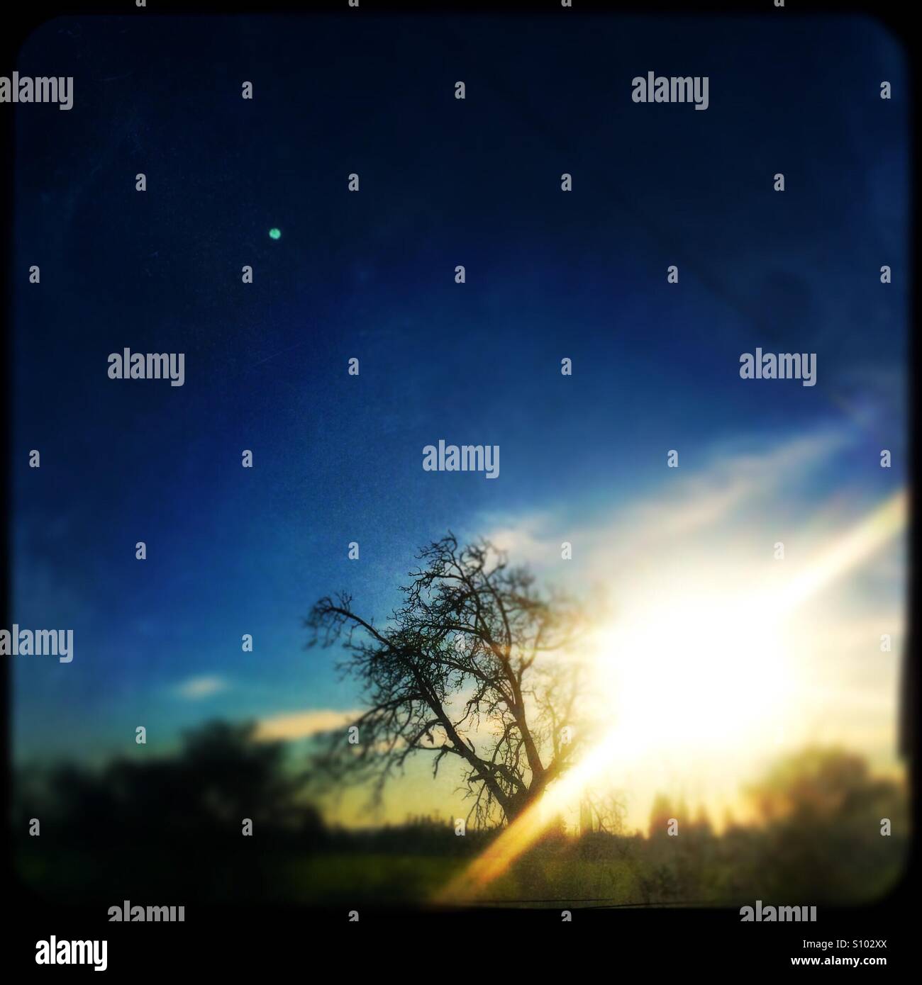 Low afternoon sun in the country with a full moon. Stanislaus County, California, USA - Smartphone Captured Stock Image