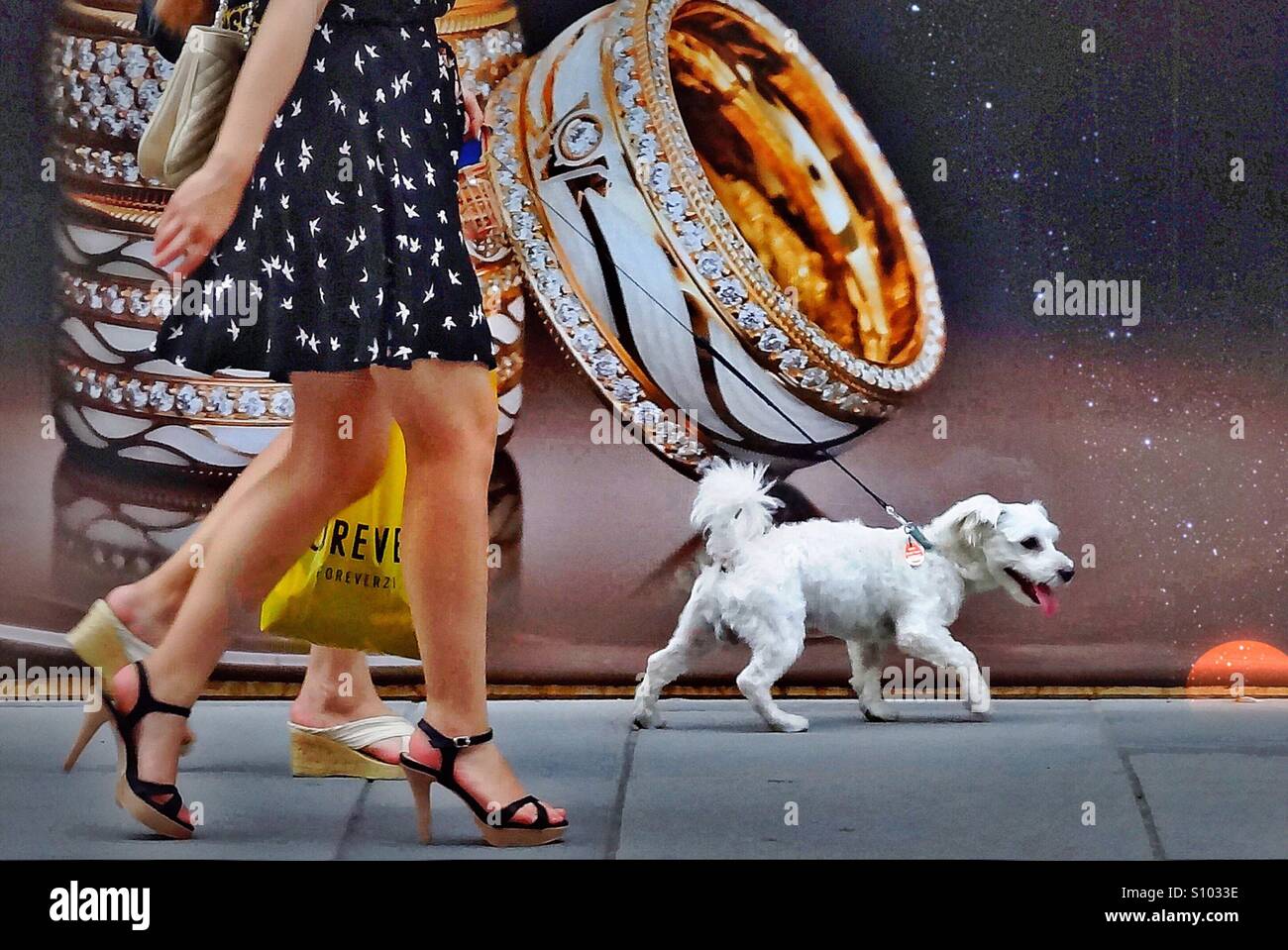 ...summer in the city... - Smartphone Captured Stock Image